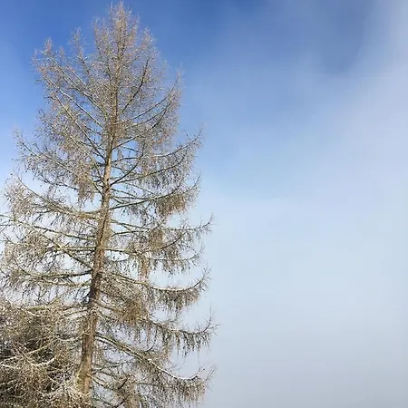 Grimming Schladming 公寓 Sonnberg (Oblarn, Liezen)