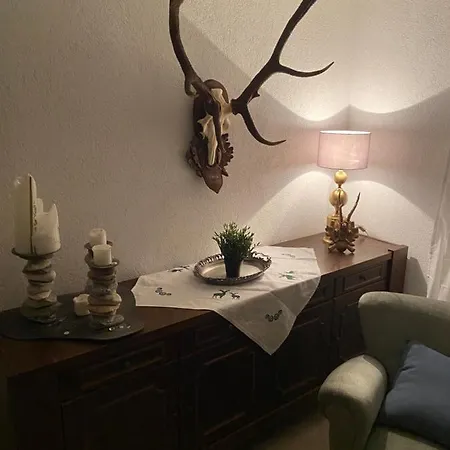 Grimming Schladming Appartement *